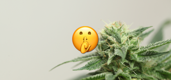Le THC-S : La Nouvelle Star Discrète du Cannabis et du CBD