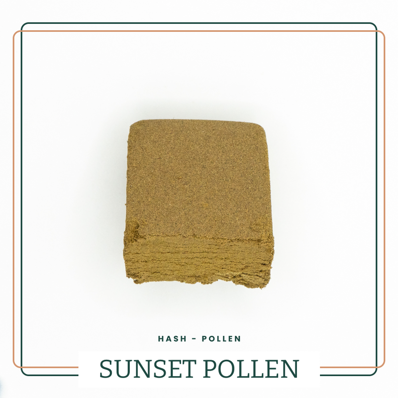 SUNSET POLLEN 🌅