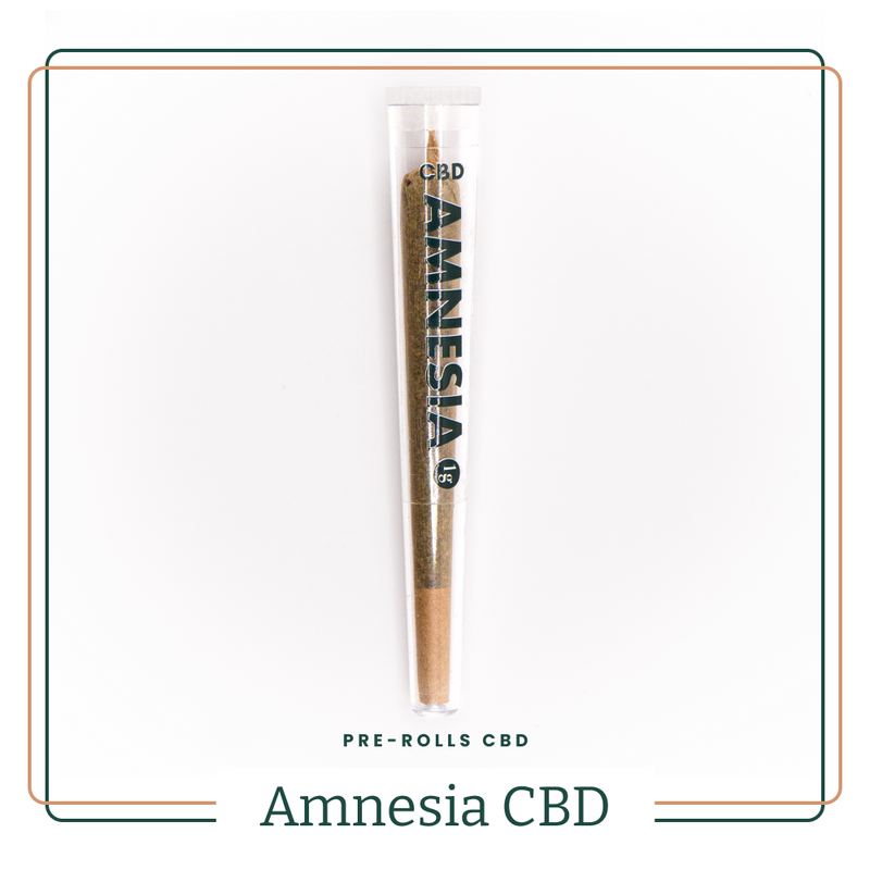 Pre-rolls CBD - Amnesia