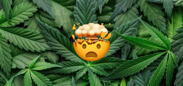 THC-X : LE NOUVEAU CANNABINOÏDE QUI INTRIGUE