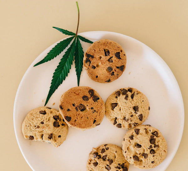 L’importance du microdosage du THC Delta-9
