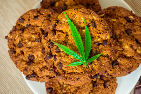 Novel Food et CBD : quand la réglementation décroche de la réalité du marché