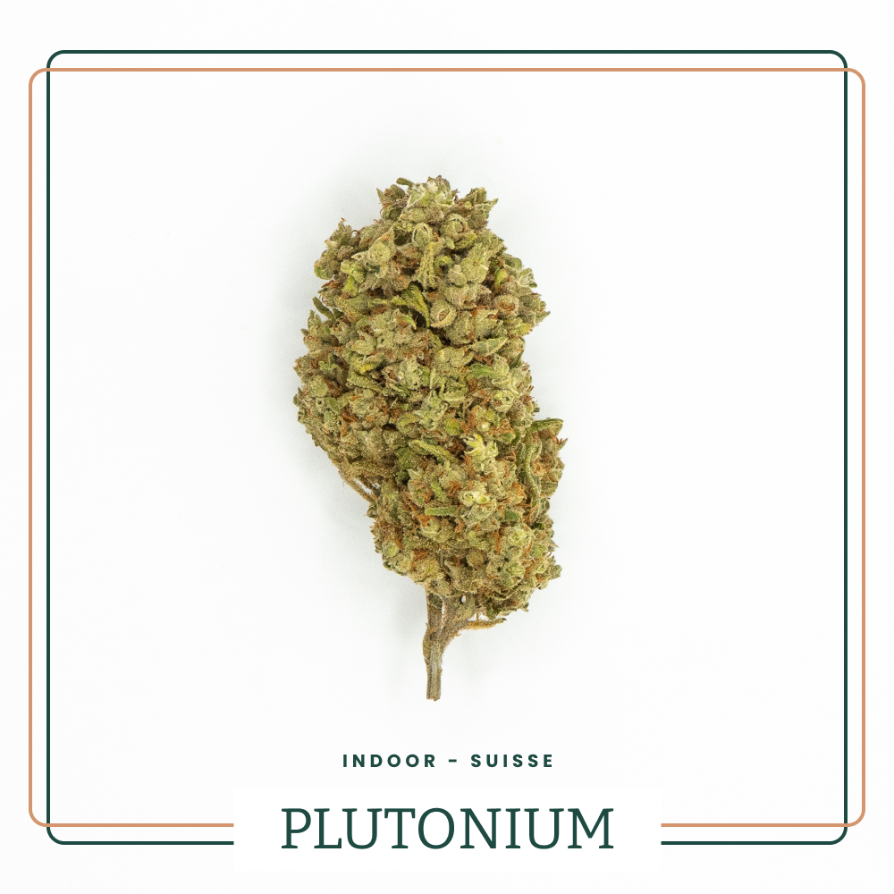 Fleur Plutonium TH-X AOMA - Néo-cannabinoïdes Premium