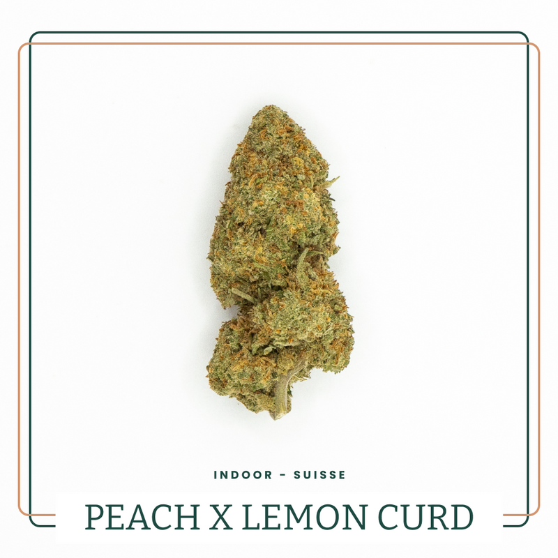 Fleur CBD Peach Lemon Curd Indoor AOMA