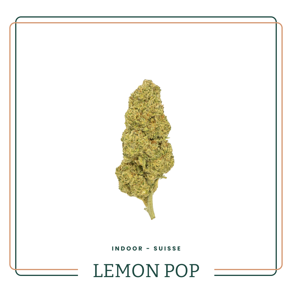 LEMON POP
