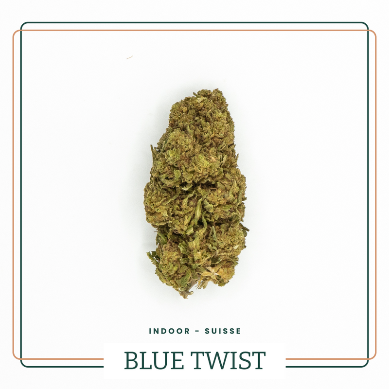 Blue Twist 💙