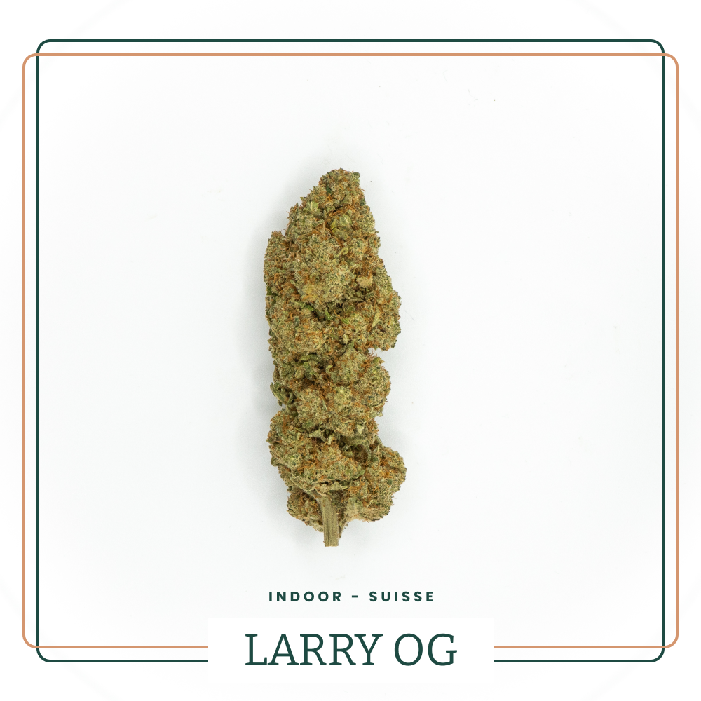 Larry OG