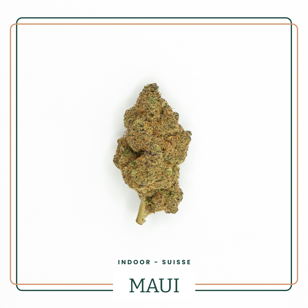 Fleur CBD Maui Indoor Tropical Hawaï AOMA