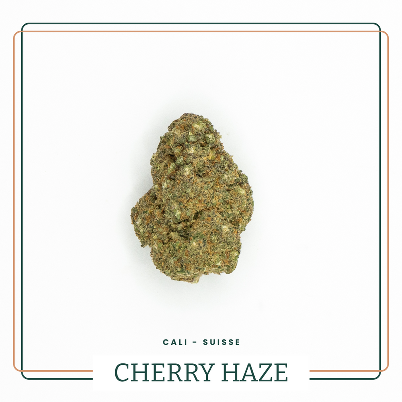 Cherry Haze