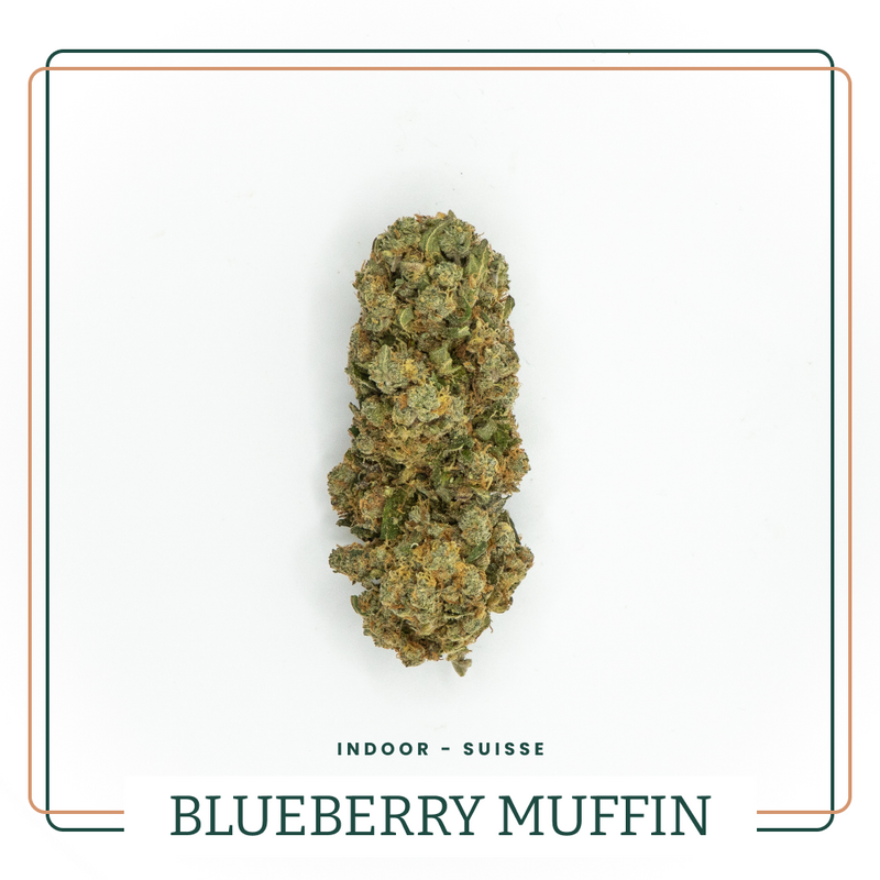 BLUEBERRY MUFFIN