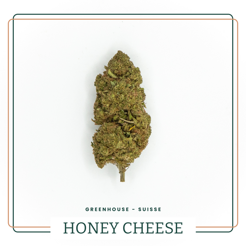Fleur CBD Honey Cheese Greenhouse AOMA