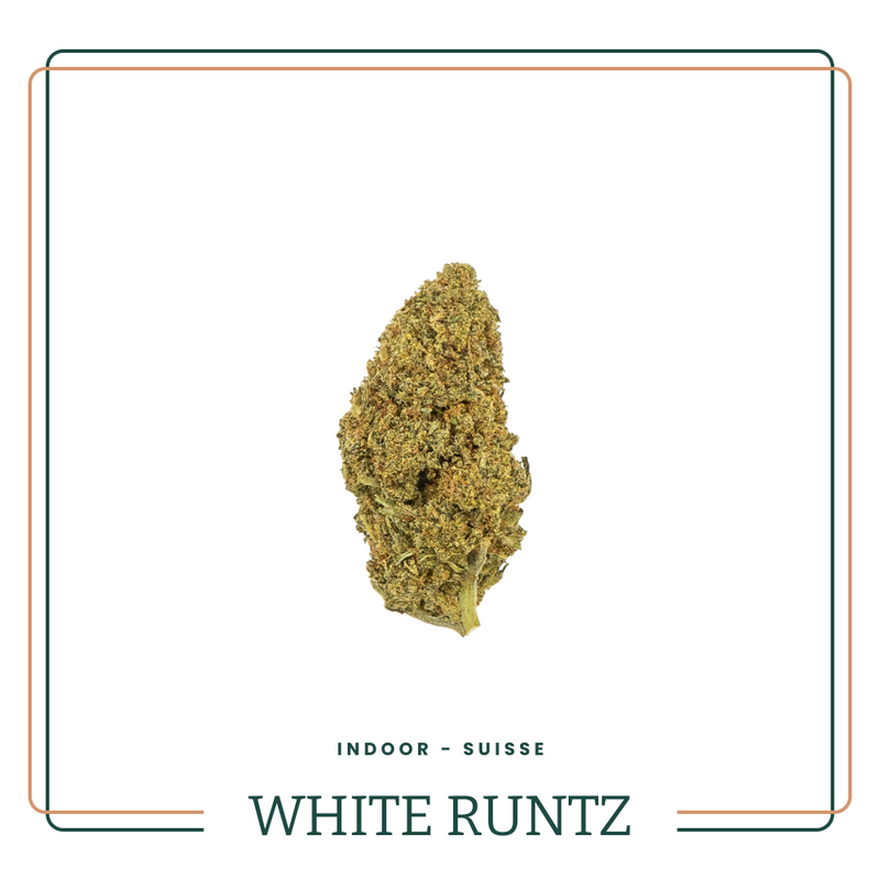 WHITE RUNTZ