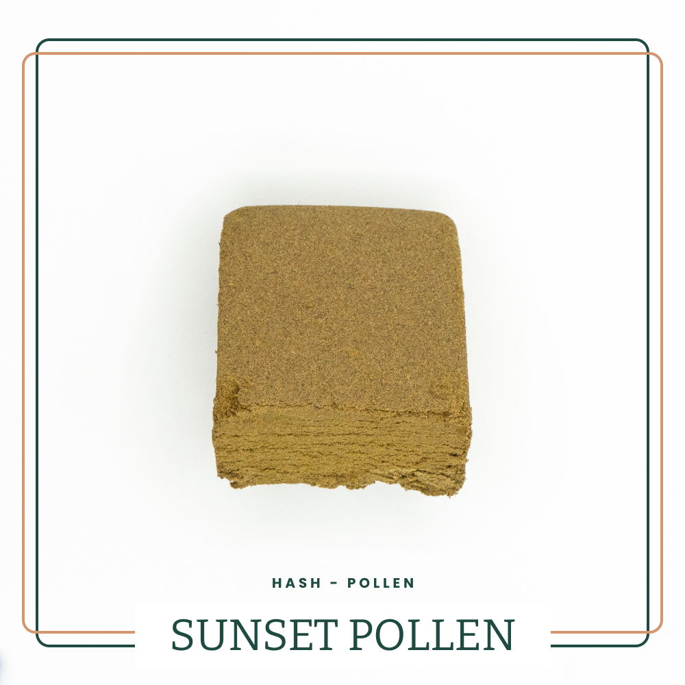 SUNSET POLLEN 🌅