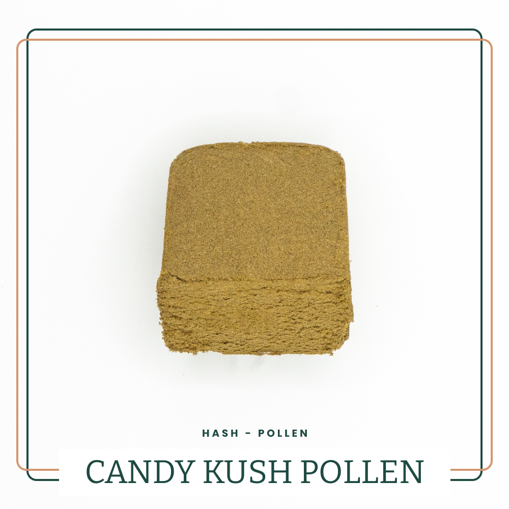 CANDY KUSH POLLEN 🍬