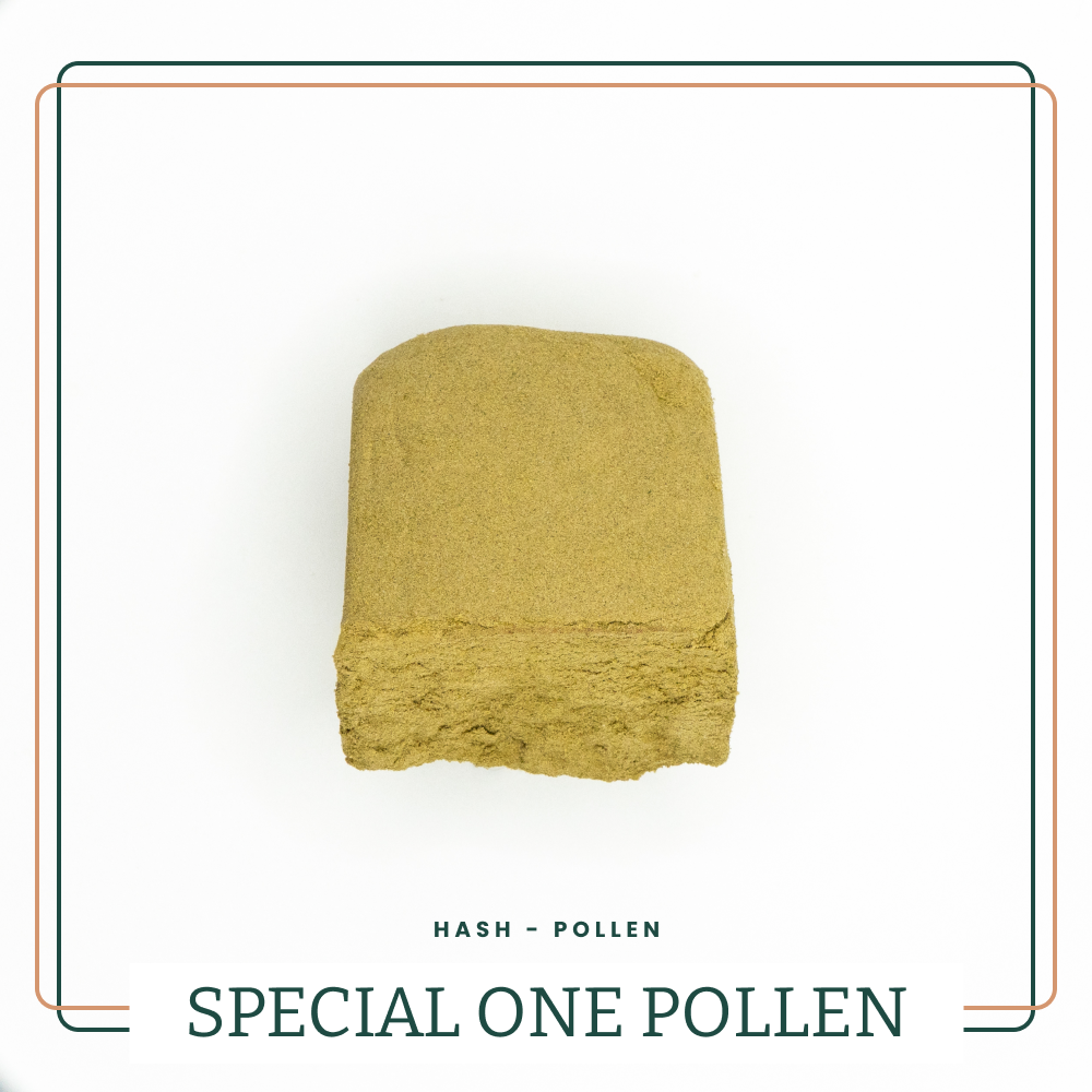 AMNESIA POLLEN