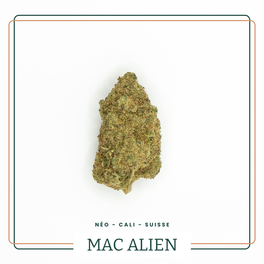 Fleurs TH-X Néo Cannabinoïdes Mac Premium AOMA