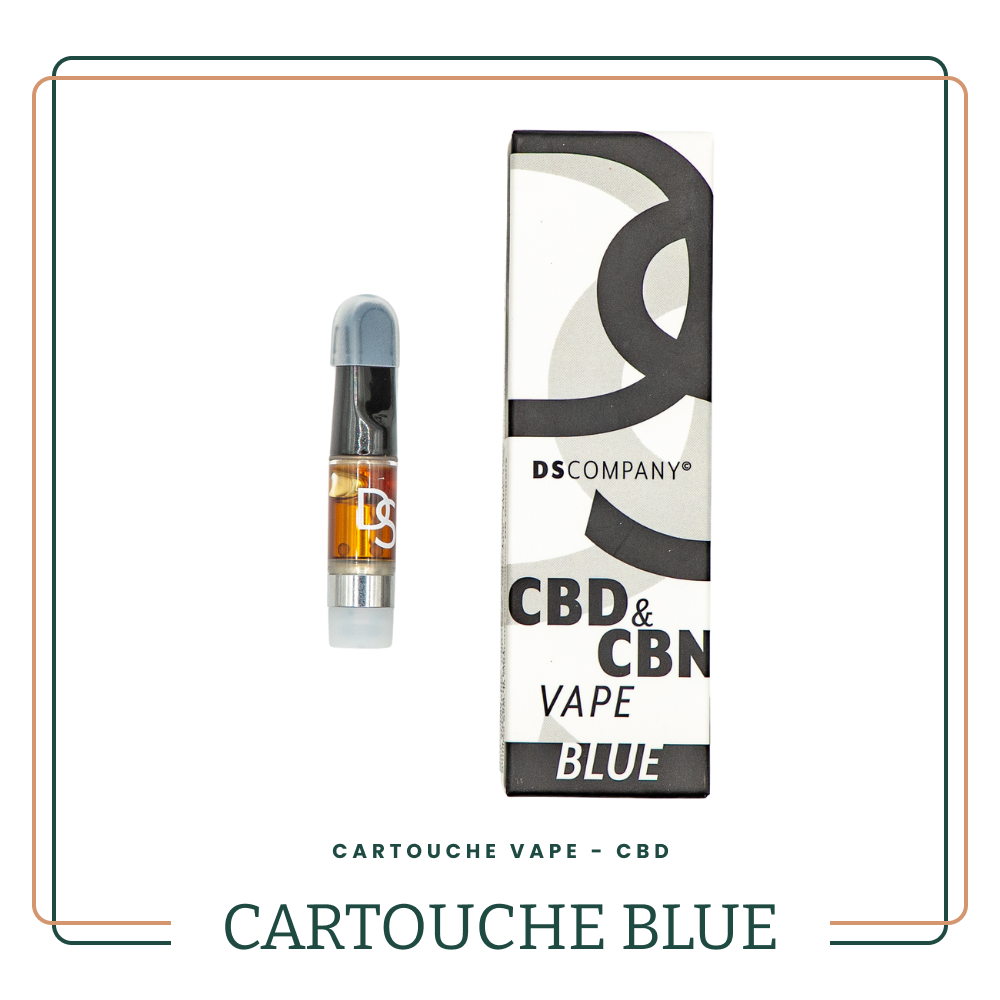 Cartouche Vape Bleue — DS Company