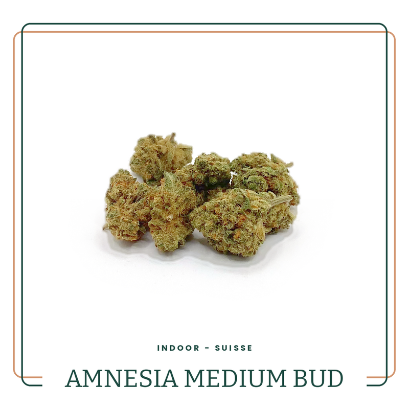 Amnesia Medium Bud — Fleur CBD Indoor — Suisse