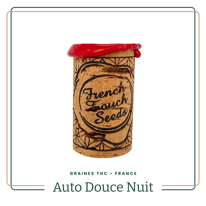 Auto Douce Nuit - Graines de collection THC