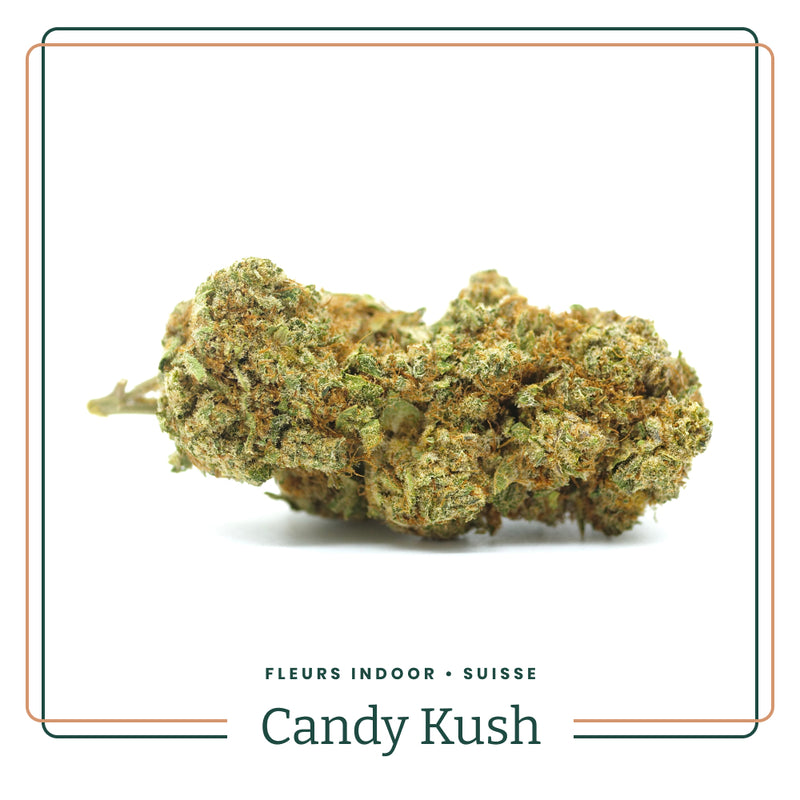 candy-kush-fleurs-indoor-suisse-aoma