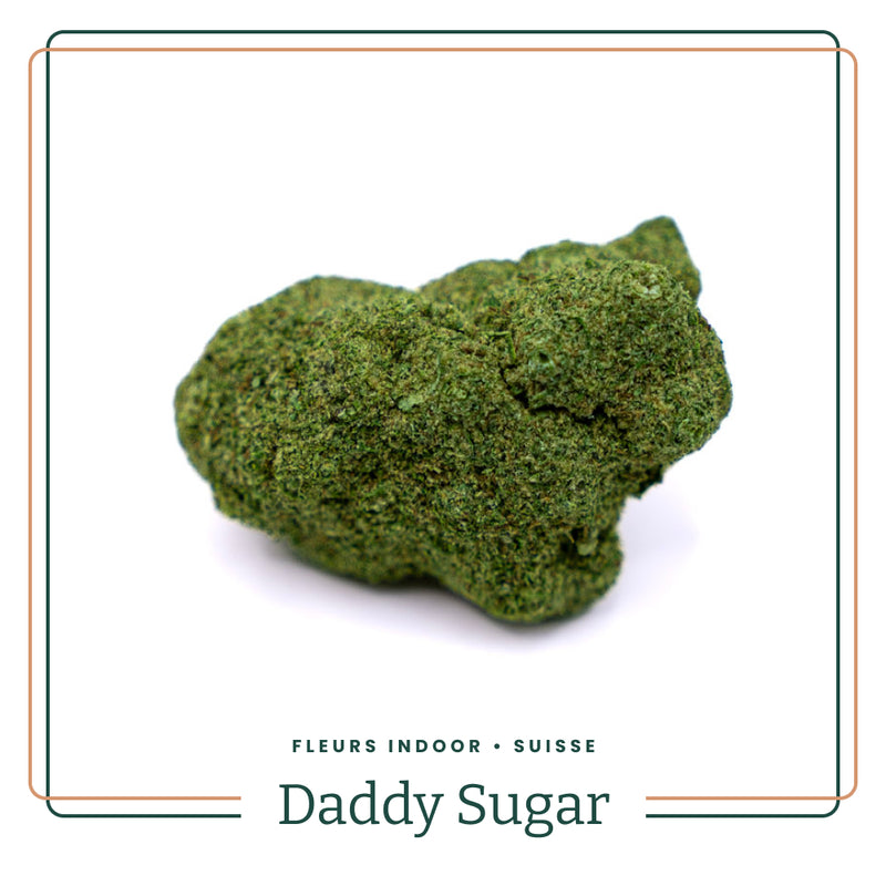 Daddy Sugar Indoor Premium Cali US 🇺🇸