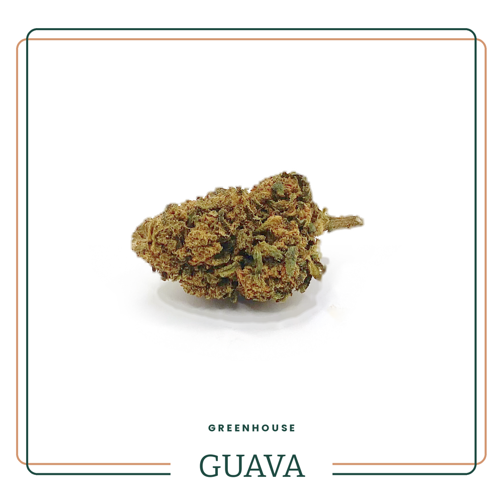 Guava — Fleur CBD Greenhouse