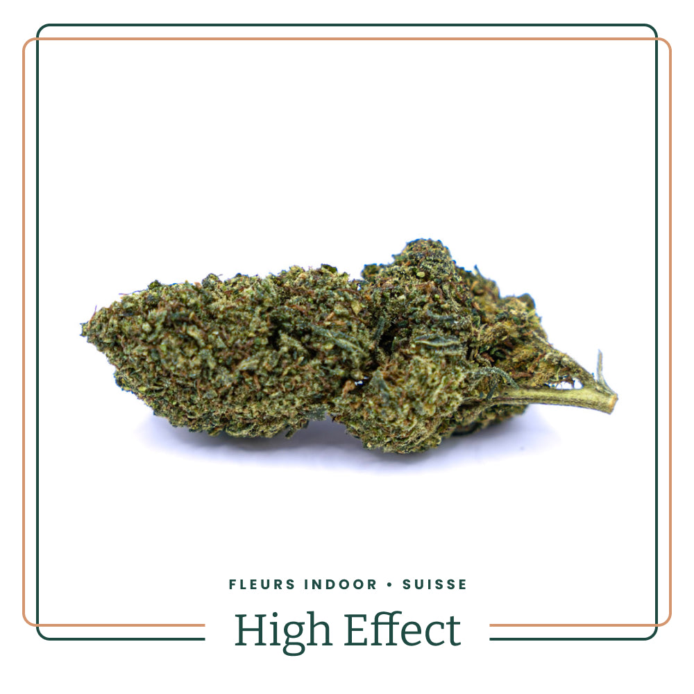 High Effect 🚀5% PO 1% CP 1% CV