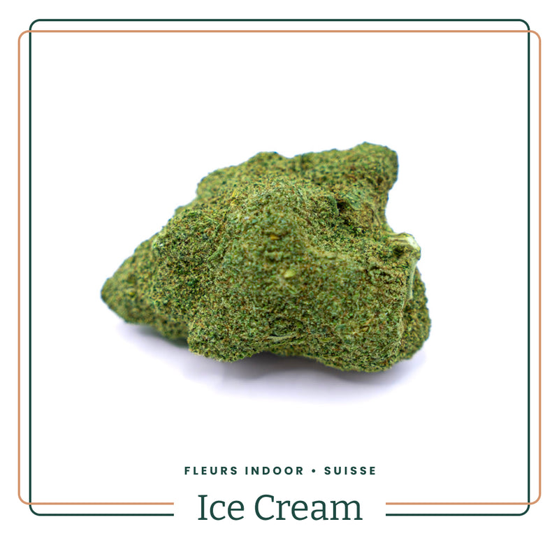 Ice Cream 🍦 Fleur Indoor Premium