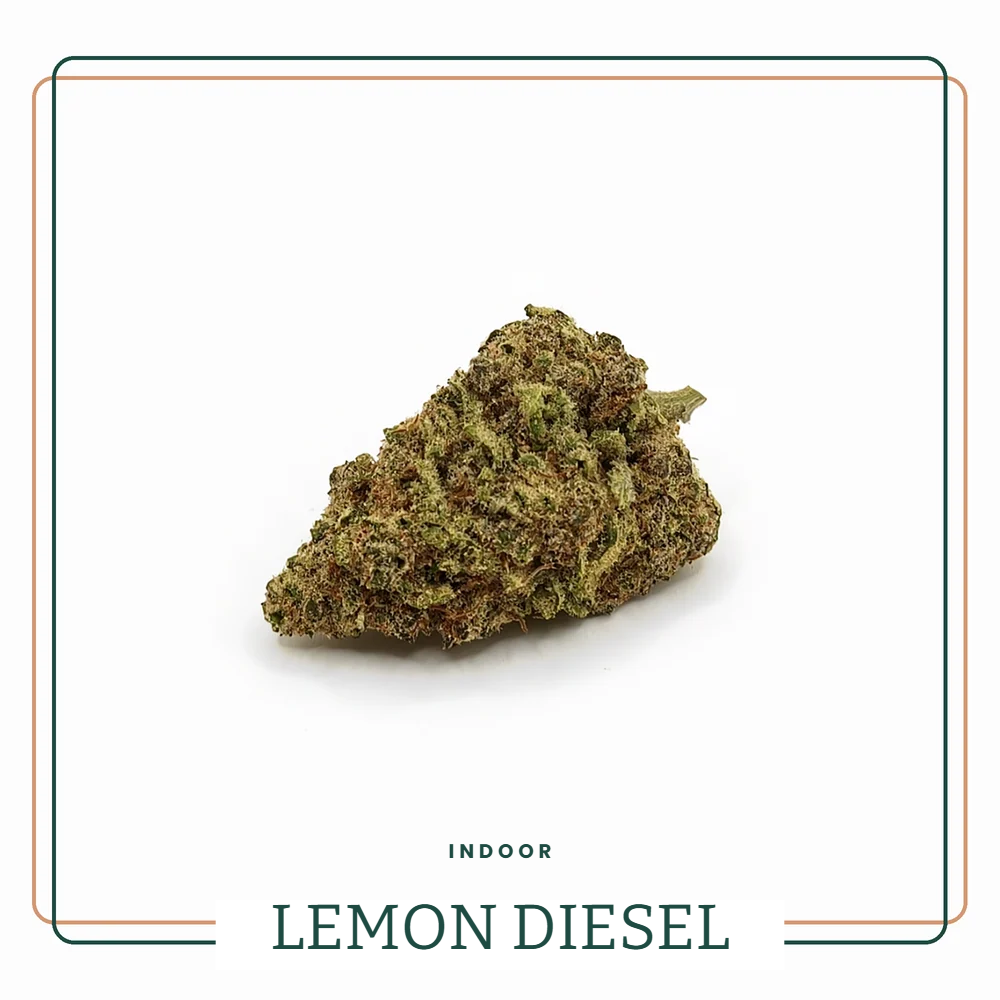 Lemon Diesel — Fleur CBD Indoor