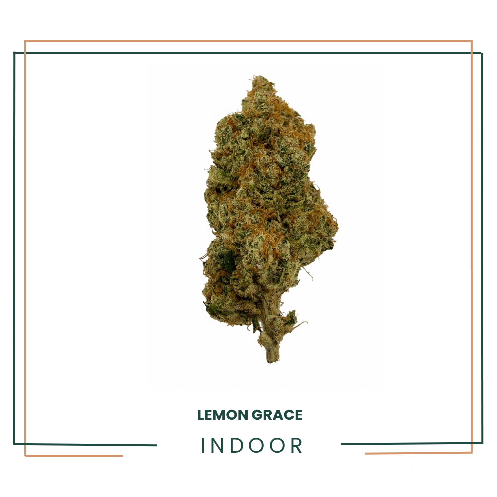 Lemon Grace — Fleur CBD Premium Indoor