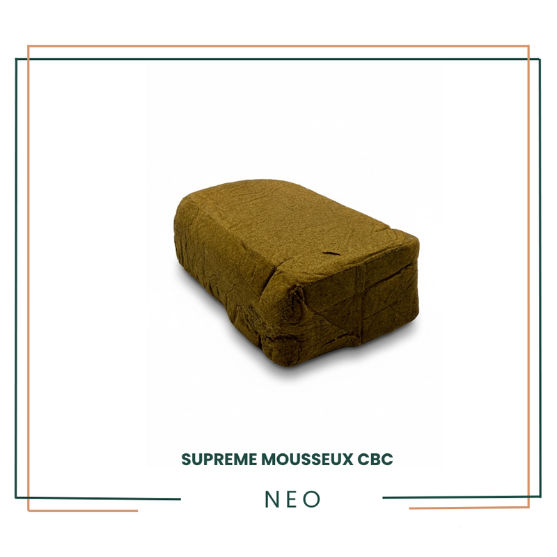 CBC Supreme — Résine Indoor Premium