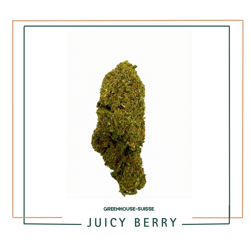 Fleur CBD Juicy Berry Greenhouse Premium AOMA