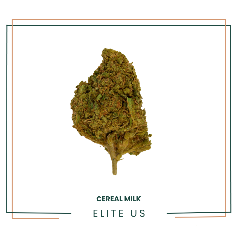 Elise US : Cereal Milk