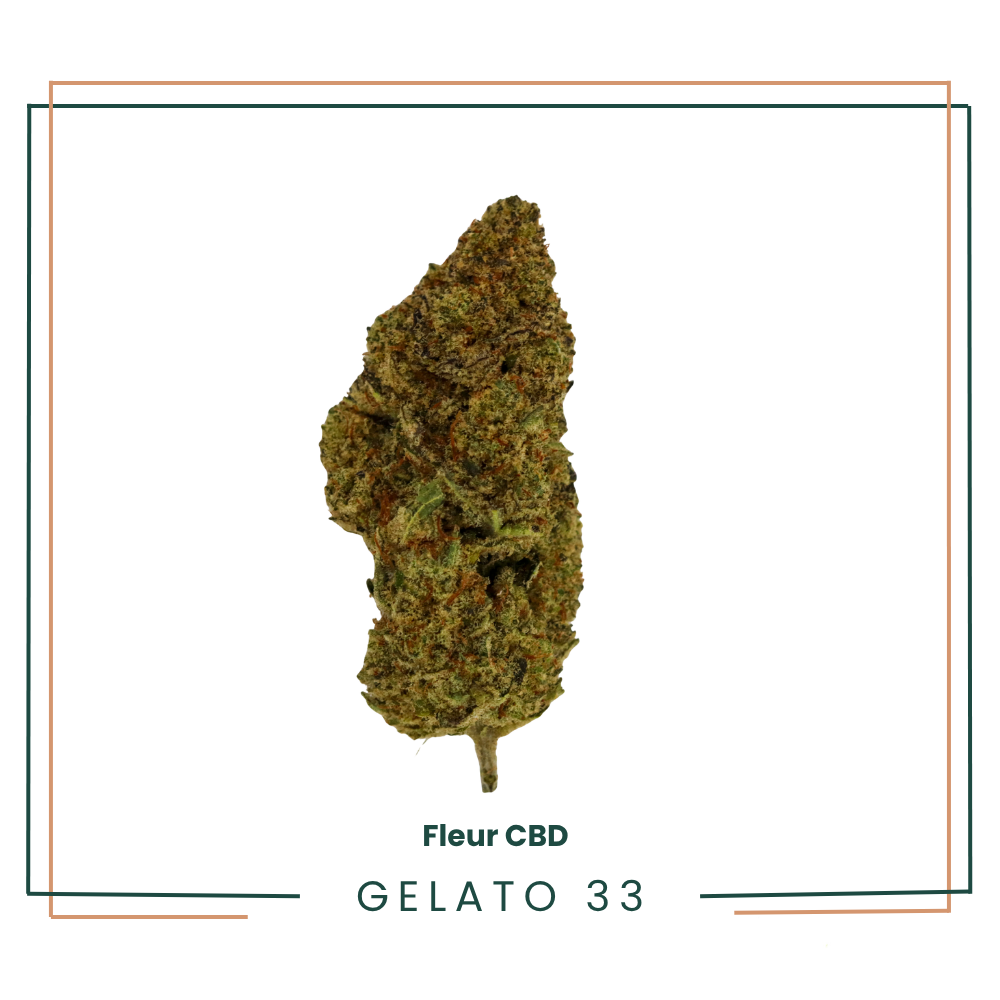 Gelato 33 - Fleur CBD