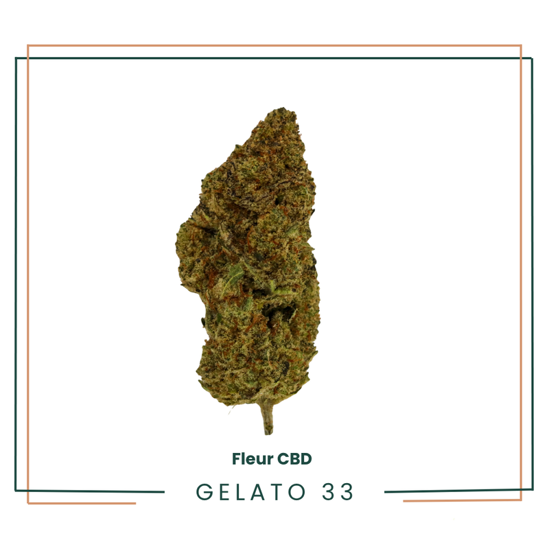 Gelato 33 - Fleur CBD
