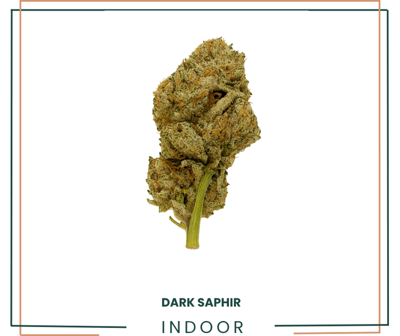 DARK SAPHIR