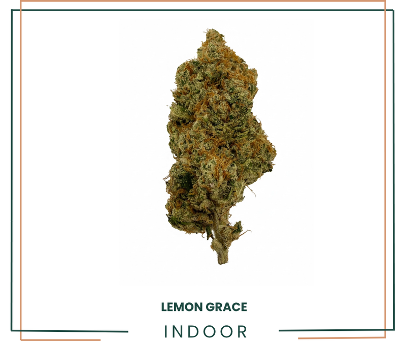 LEMON GRACE