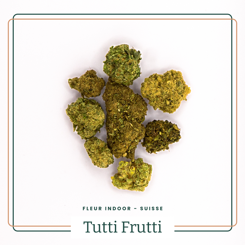 Tutti Frutti