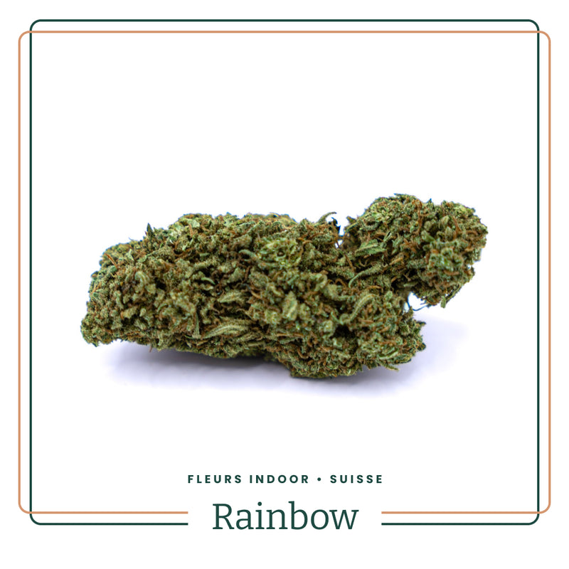 Rainbow 🌈 CBD GH