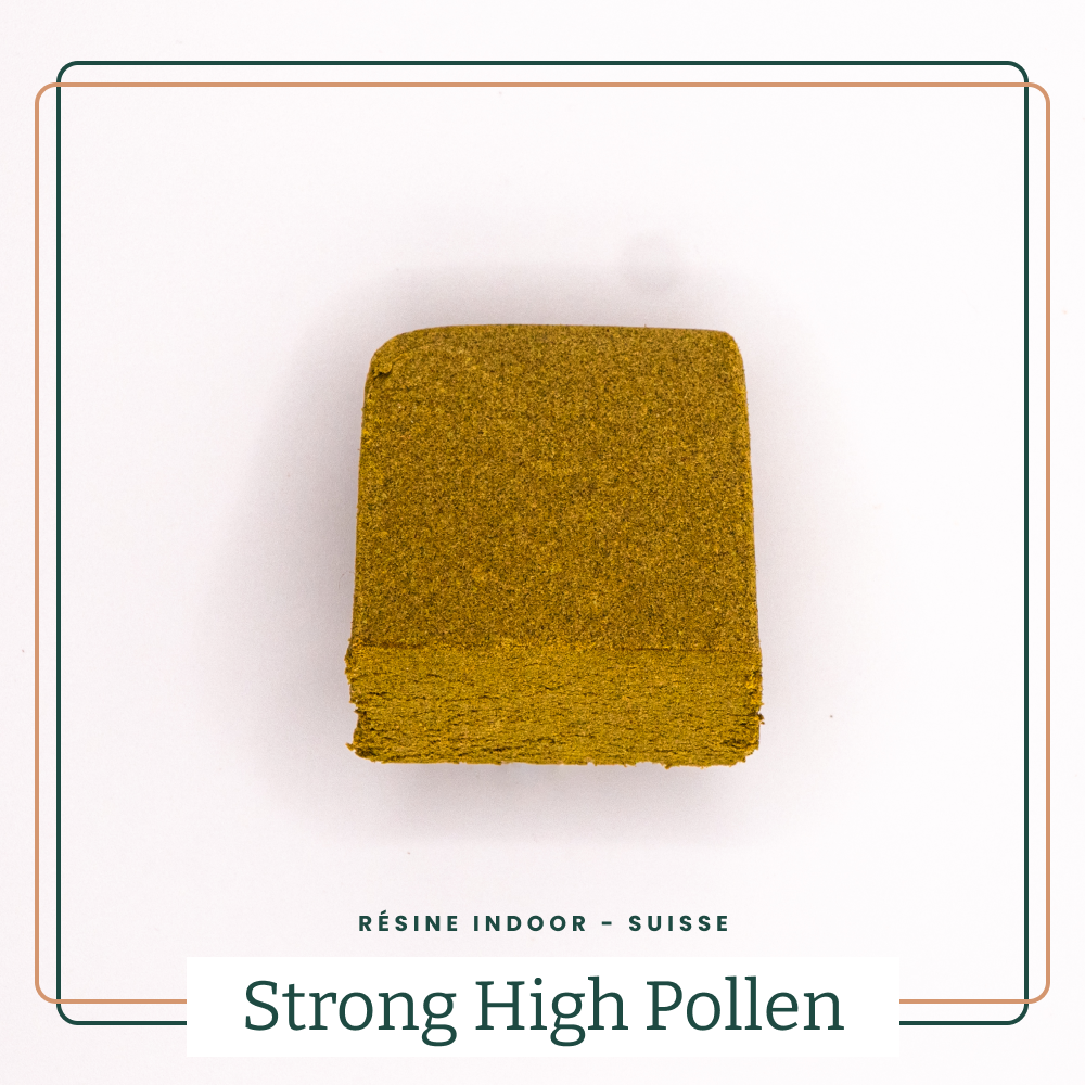 POLLEN STRONG HIGH 🫠