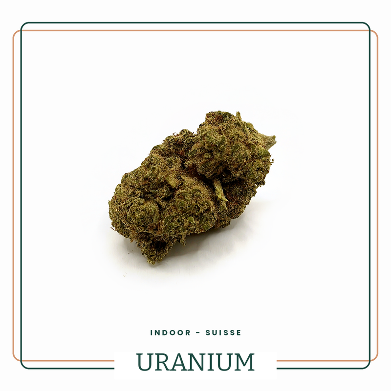 Uranium — Fleur CBD Indoor — Suisse