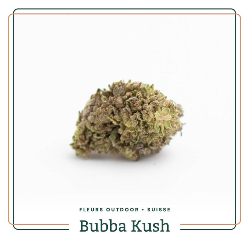 bubba-kush-fleur-outdoor-cbd