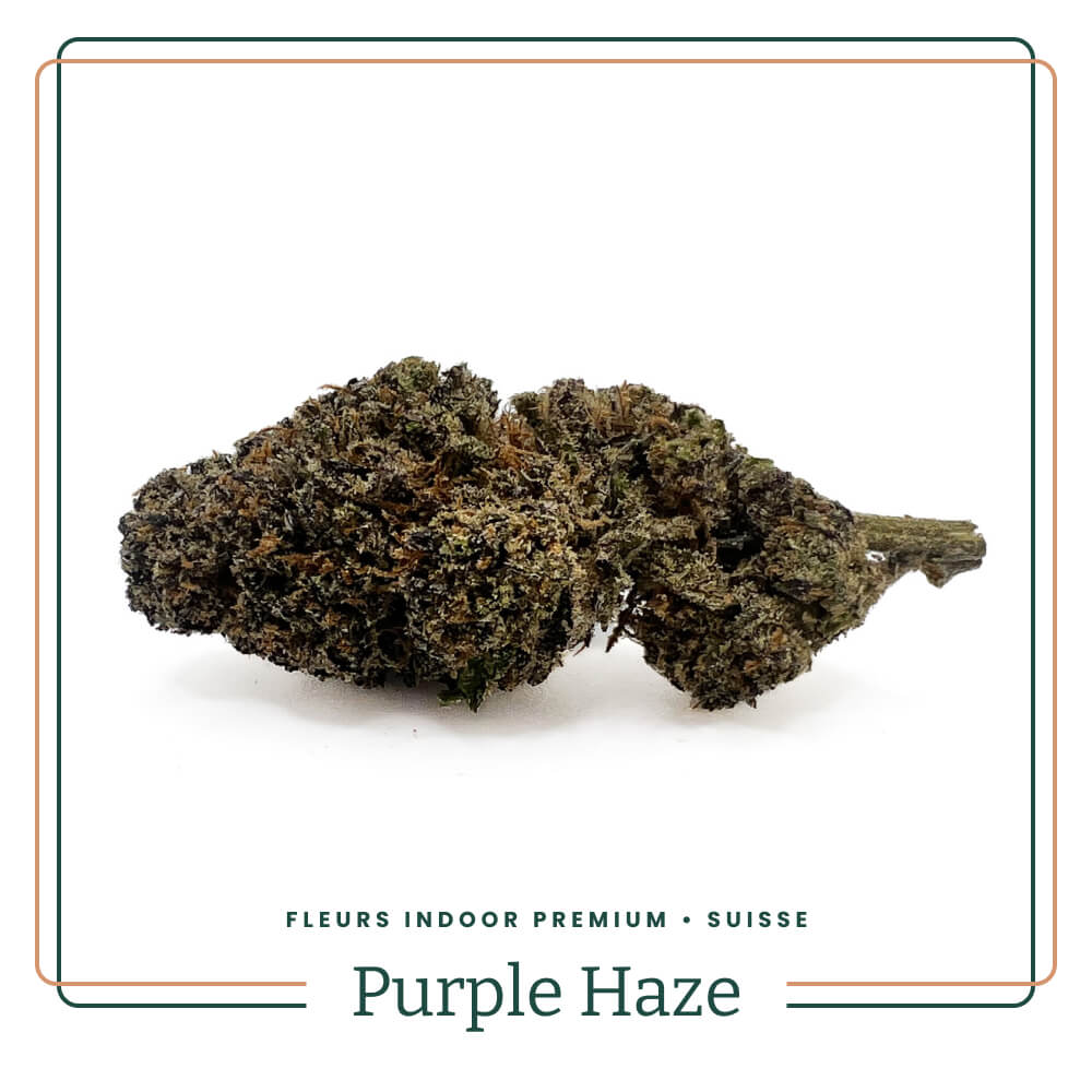 purple-haze-cbd-fleur-premium