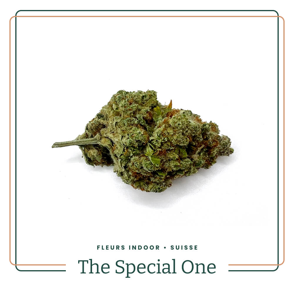 the-special-one-fleur-cbd-indoor-aoma