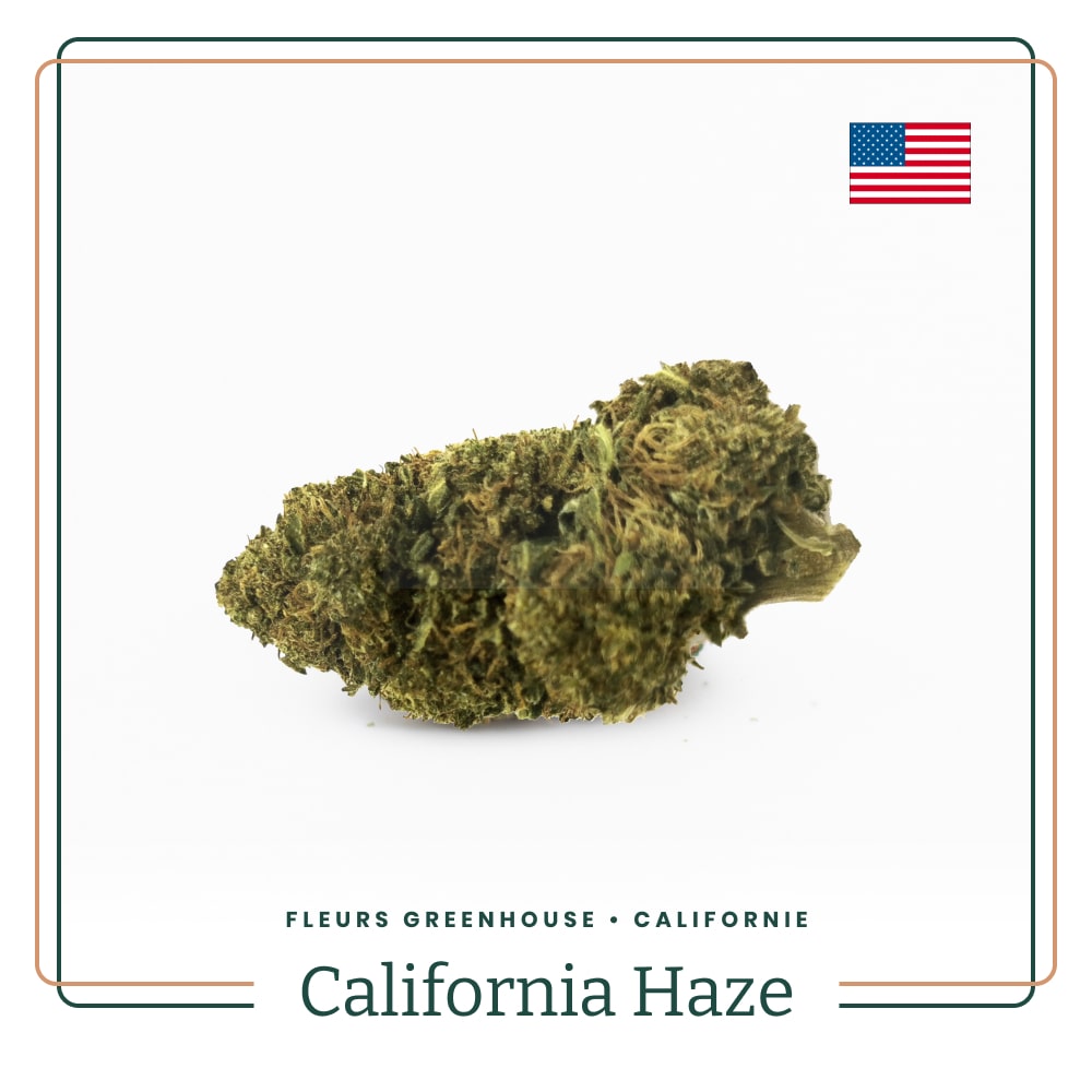 california-haze-fleur-greenhouse-cbd